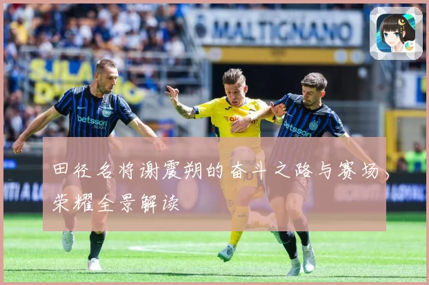 田径名将谢震朔的奋斗之路与赛场荣耀全景解读